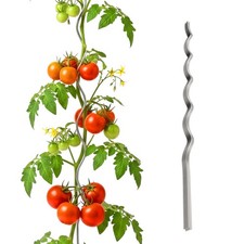 Tomaten spiralstab rankhilfe - tomaten,