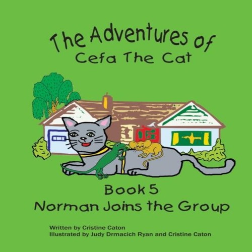 The adventures cefa cat - cefa,