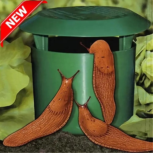 Schneckenfalle - , &