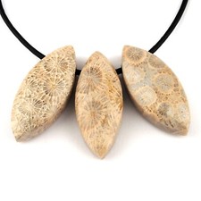 verst Koralle Navette