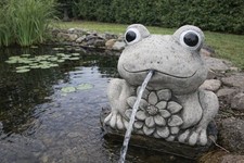 Wasserspeier/Wasserspiel