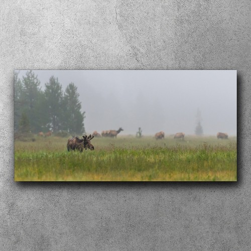 Leinwand bild deko wandbilder - bild,