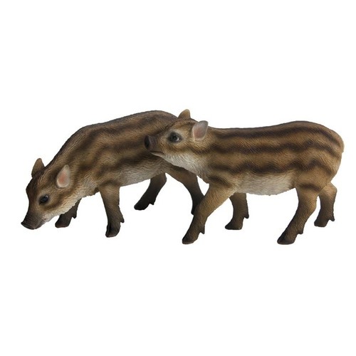 Wildschwein frischling eber - wildschwein,