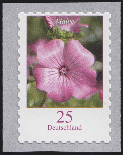 2513a blume cent sk - 2513a, cent/sk