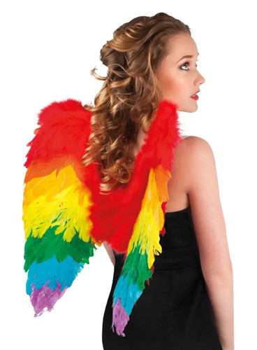 Regenbogen flügel für - flügel,