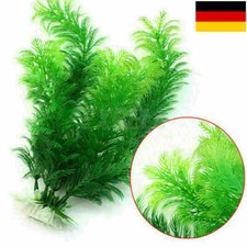 30cm Aquariumpflanzen