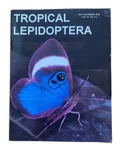 Schmetterlinge - Tropical