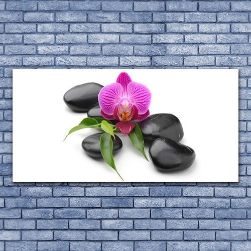 Acrylglasbilder wandbilder - acrylglasbilder,