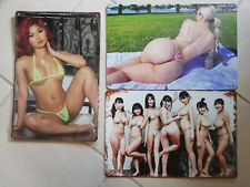 3x Erotik - Akt - sexy Girls - Pin Up - Blech-/Metallschild 20x30cm Sammlung 2
