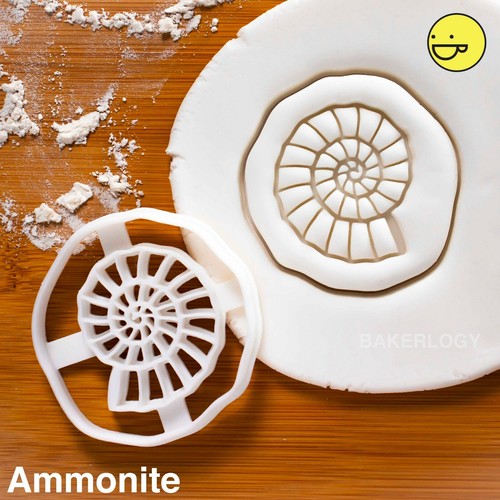 Ammonit ausstechform fossile - ausstechform, |