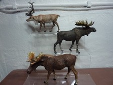 3 nordische Pflanzenfresser