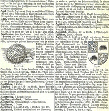 Alte Lithografie, Igelfisch