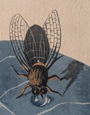 Rose mit Fliege, um 1800