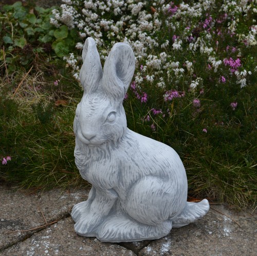 Hase sitzend kaninchen - hase,