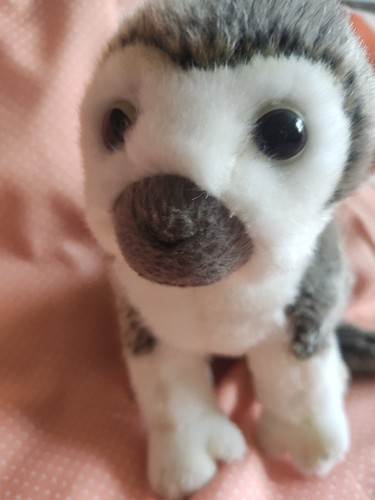 äffchen affe monkey - affe,,