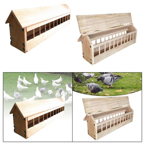 Taubenfutterspender aus holz - aus,