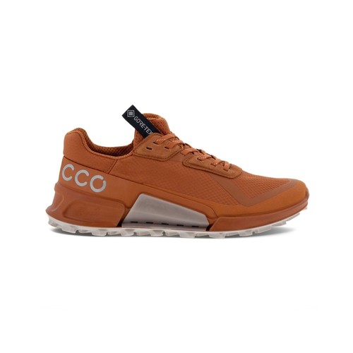 Ecco biom country - 2.1,