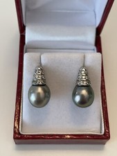 10,9x12,3mm Tahiti Perlen Ohrringe mit Sterling Silber rhodinierte Stecker.