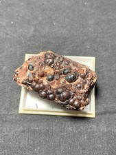 Hämatit, Roter Glaskopf, Knollgrube, Bad Lauterberg, Harz, Niedersachsen