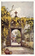 Ak Insel Madeira Portugal, Tor