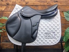 17" Amerigo Salto Vega