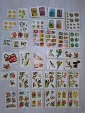 Sammlung Schiebebilder /