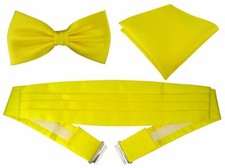 TigerTie - Kummerbund