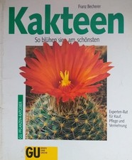 Kakteen - Franz Becherer