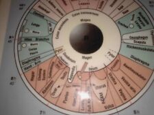 Mikroskop Augenmikroskop Irismikroskop