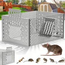 Lebendfalle Mausefalle