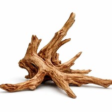 Bloodwood – Naturwurzel für