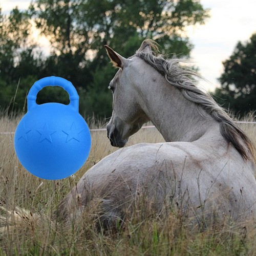 25cm pferdespielball mit - 25cm,