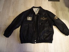 DAVID MOORE F21 Piloten