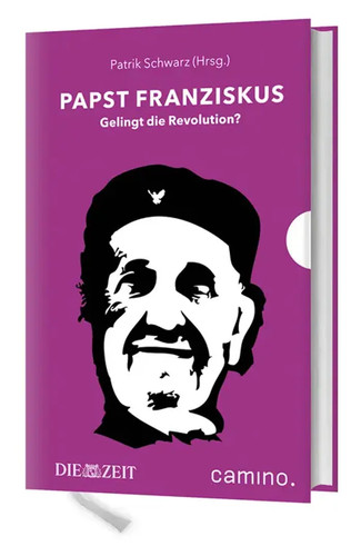 Papst franziskus gelingt - papst,