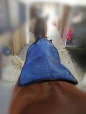 Dressur Pad, Lammfell Satteldecken- Unterlage,Sattelunterlage 60 x 40 cm 