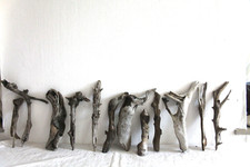 Schwemmholz Treibholz 12