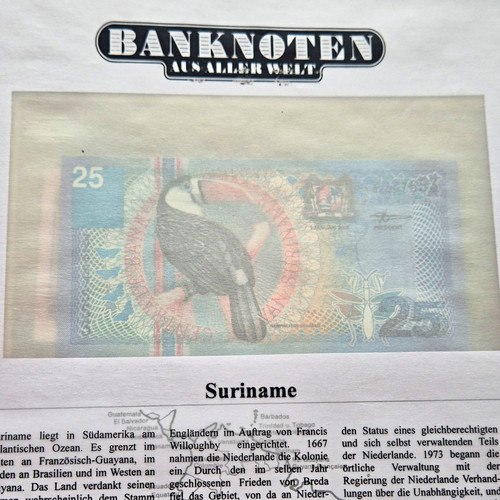 Suriname gulden banknote - gulden,
