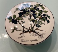 Villeroy & Boch Botanica Deckeldose Bonbonniere Vaccinium Myrtillus Top!