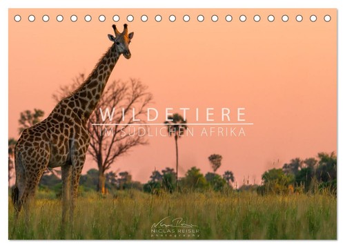 Wildtiere südlichen afrika - wildtiere, im