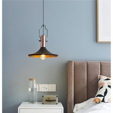 Pendelleuchte Deckenleuchte