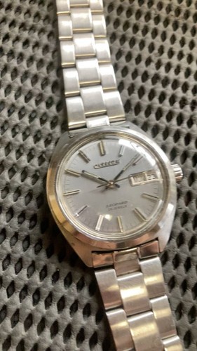 Citizen leopard high beat - citizen,