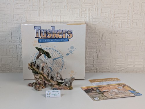 Tuskers elephants 91158 - tuskers,