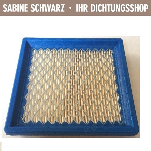 Luftfilter für gutbrod - luftfilter,
