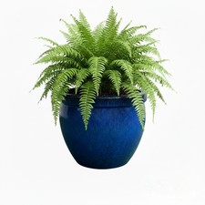 Teramico Pflanzgefäß Keramik