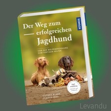 DER WEG ZUM ERFOLGREICHEN