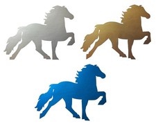 Islandpferd Isländer -