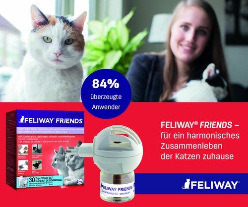 Feliway friends start - start, /