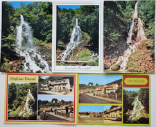 5 x Trusetal Thüringer Wald