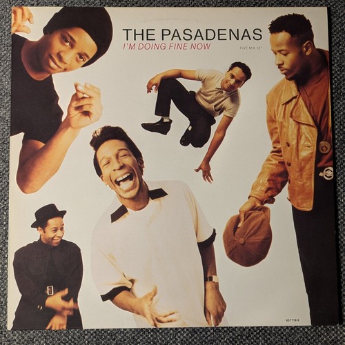 Vinyl maxi the pasadenas - vinyl,