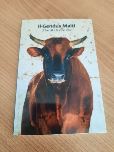 Euro malta 2025 malteser - 2,